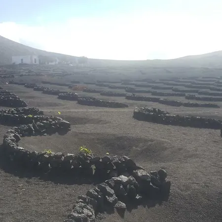 Privatunterkunft Arrecife Centre Charco De San Gines - Arrecife (Lanzarote)